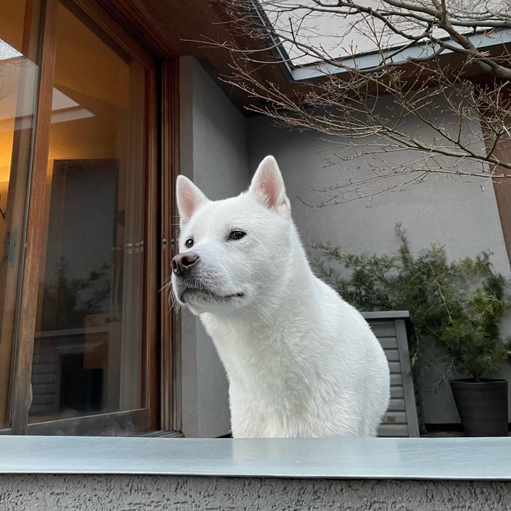 651cb5df fc87 4034 805d 8eaded5faba5 1641295421252