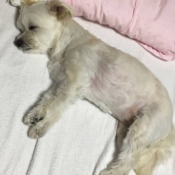 651cd327 c36e 4e51 8a95 d7d8435aa895 1561124476205