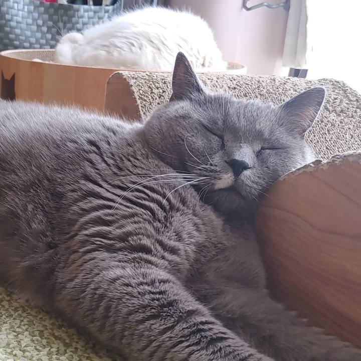 651d00b3 c37c 475b 9839 04ade24c5398 1707700342737