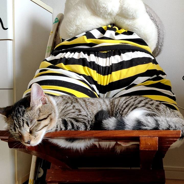 651d6cf5 07ea 4c90 b35e f5ef5f040204 1630135516692