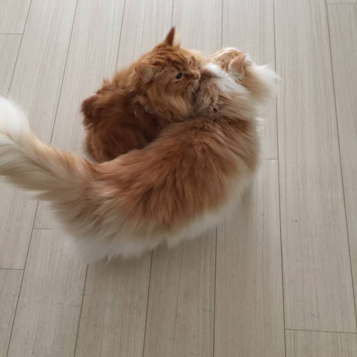 651d7bd3 0ac9 4c27 8d72 360490dbe268 1512596549740