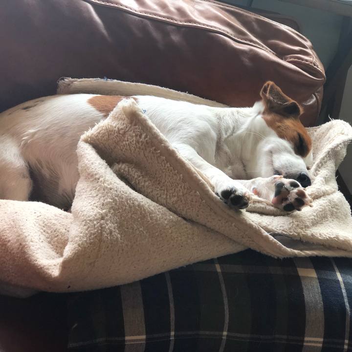 651d8113 4f74 4c86 9c50 d1c242317e79 1560244802518