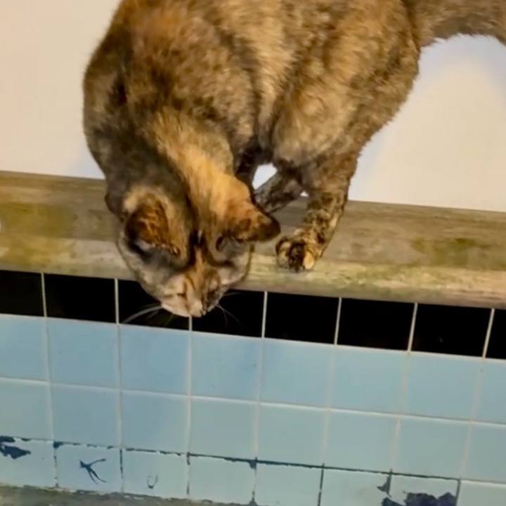 651dbb53 4149 4c26 a3a8 9ad8bf9d8cc5 1775335238935