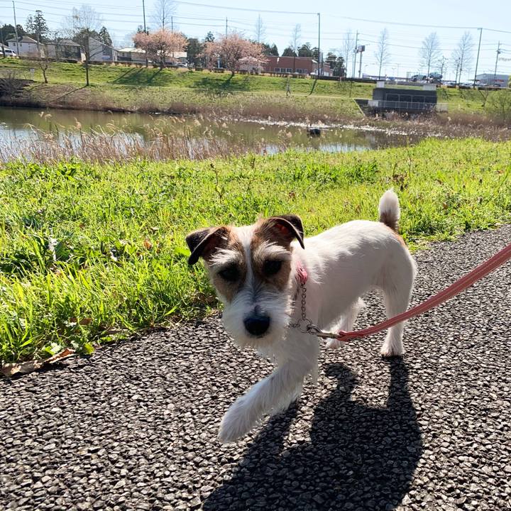 651dcf83 a097 403c 802a e8076d857da4 1585128231233