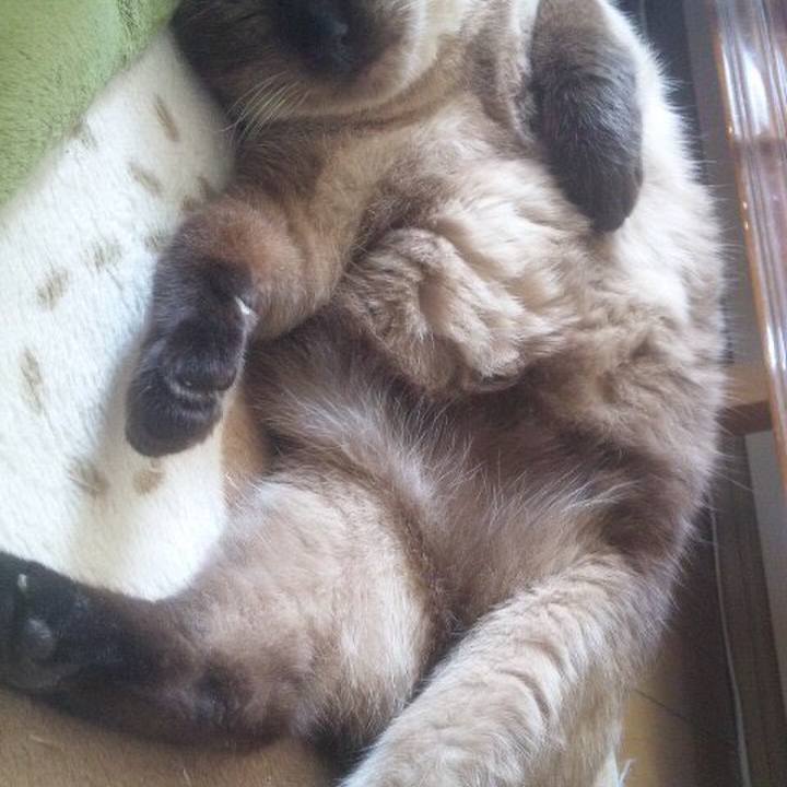 651dd130 9241 4666 baf0 08f13f4f9dab 1523848451491