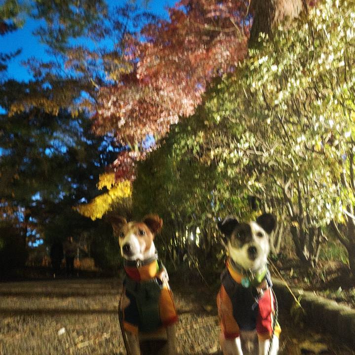 651dd409 0204 48d8 a4f5 f3fbaa8e4a21 1762082298919