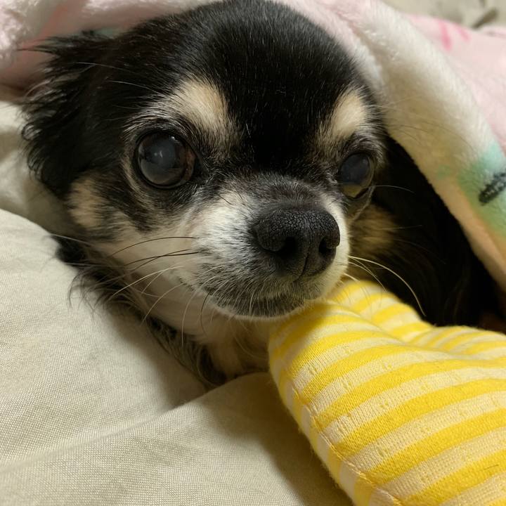 651df4c2 96f4 497a a976 8948ca1d32e8 1562822487131