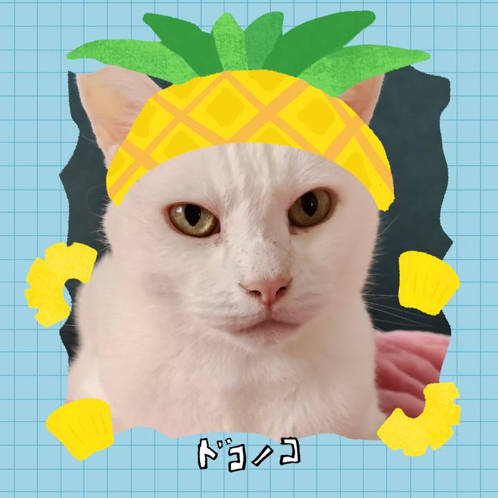 651e16d8 3e7c 4e50 8bec 0d38584790d8 1783343439590