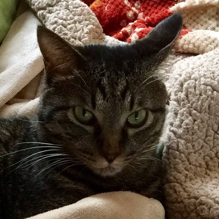 651e25ea b388 409f b10e 5f04d5dea9fb 1558786553153