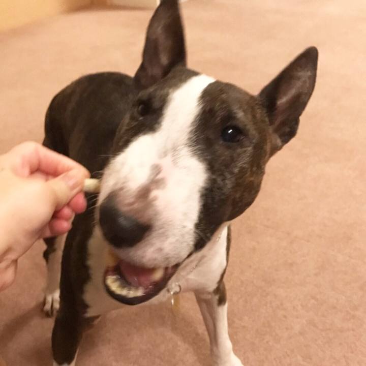 651e541c 4af0 4796 996d 7d1bb146f1ff 1509102495746