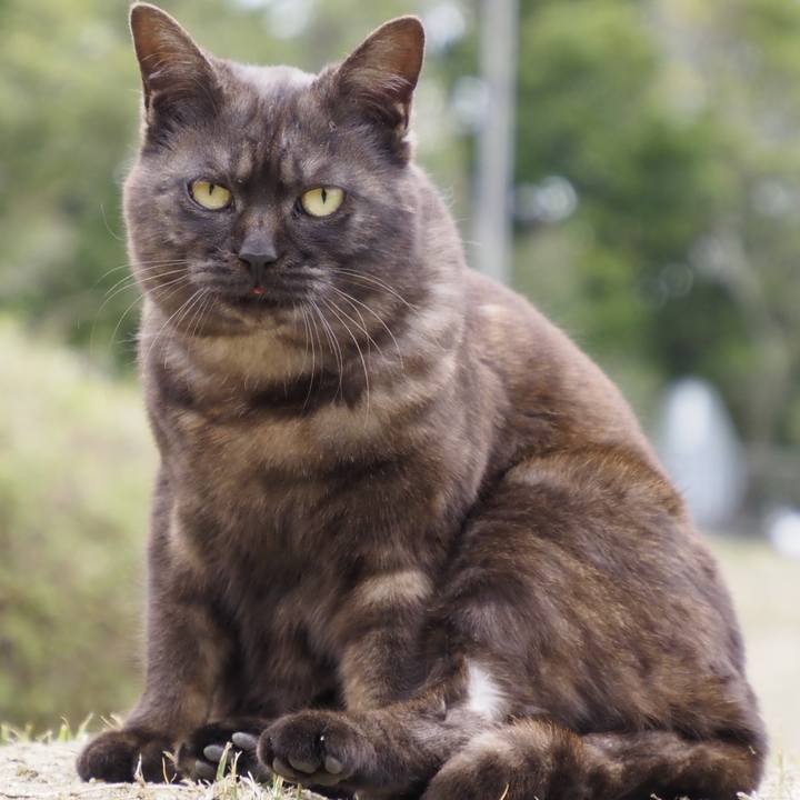 651e6822 6078 48ab 8705 63b7a15681fd 1616826512170