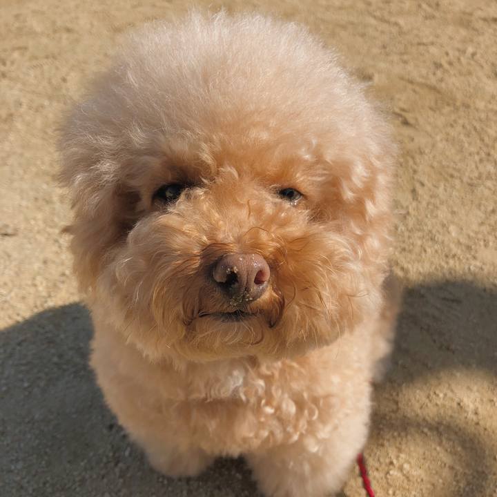 651e8307 76a9 4790 8a2b e0e389ecd98e 1510280320733