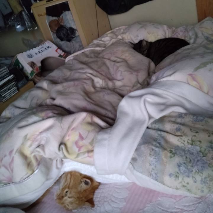 651eb750 d081 4482 b1c2 30ee0c49a3d5 1697146695426