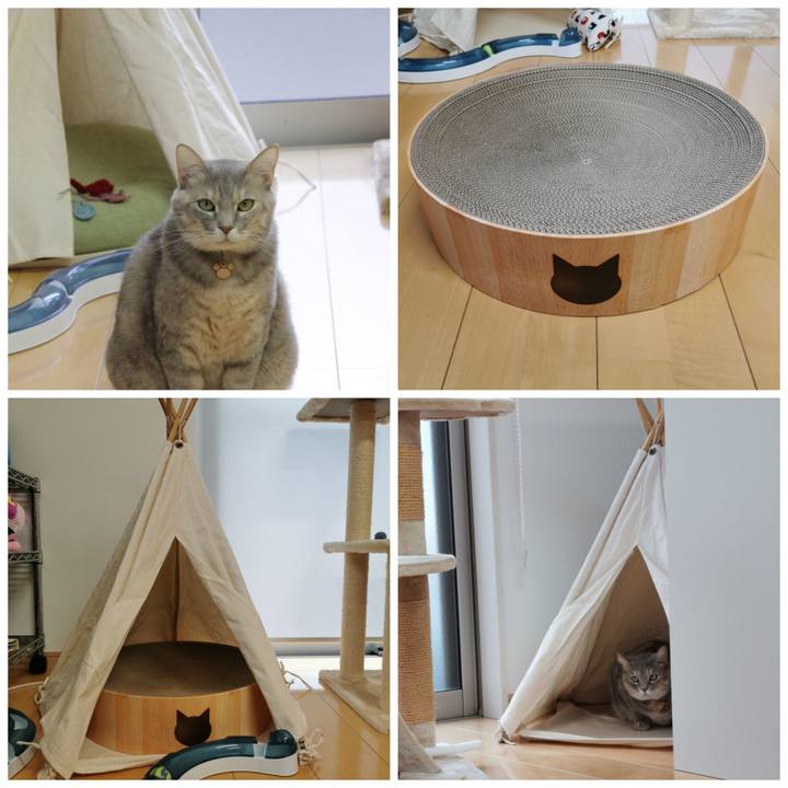 651ed5eb a11b 4eee 8a12 d2a367d91b30 1629197237542