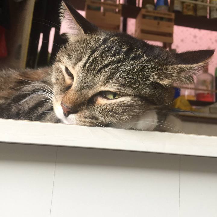 651edfa8 1e3b 4016 983c dba719c12d29 1569199867764