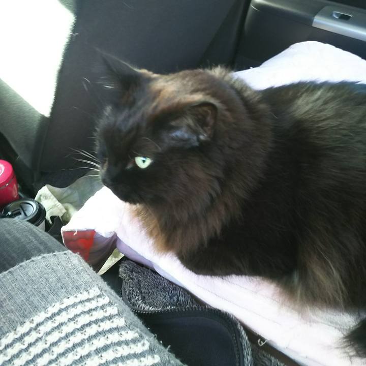 651f321a 17ae 4232 92b8 69e269c6bfa2 1546053379698