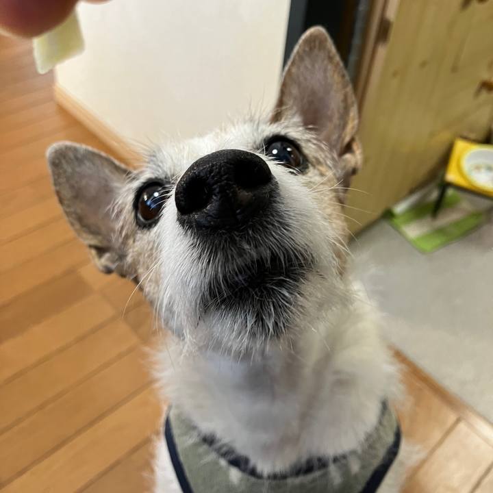 651f35ba c39e 4b19 9321 2d13af212deb 1702080261604