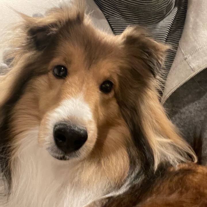 651f35da 9fce 4590 bbac 43a85b5039b2 1672584775673