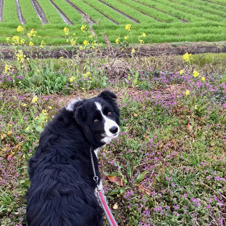 651f6ecf 1afc 4e55 88af b45009de6103 1582670458527