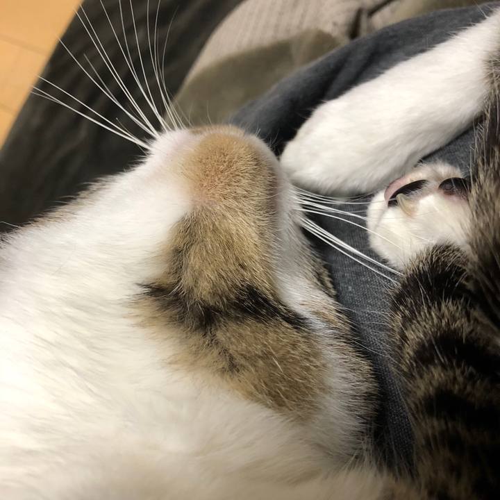 651f7f2c 8b4d 4901 a3a5 4ef407f99c7e 1515545674921