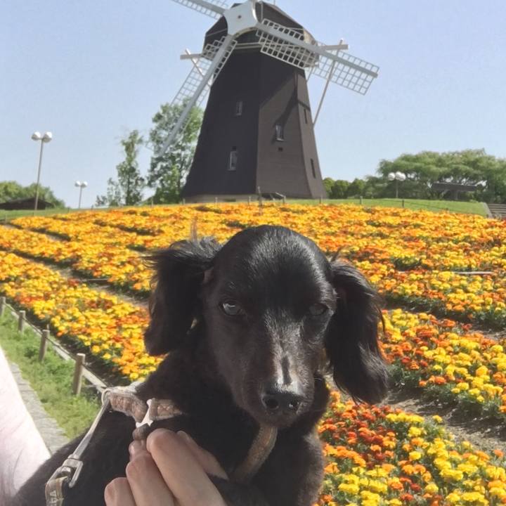 651f8bd8 42d2 4702 b7ee df7168823267 1723955648678