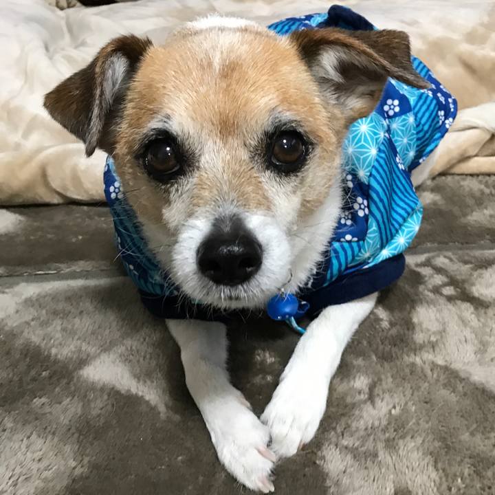 651f93ba 2c96 4538 99f2 512433bddbbd 1615932008227