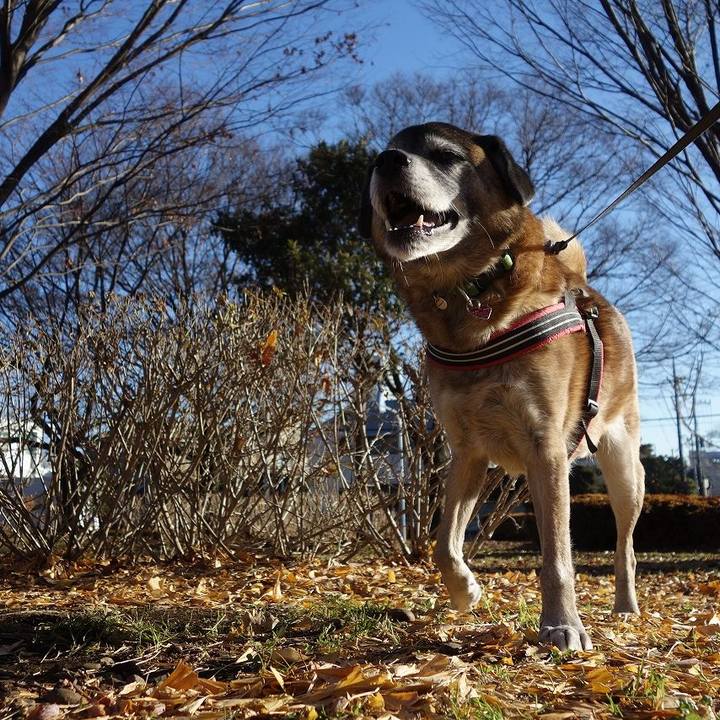 651fae1b a9ef 4f9c 8072 eb40f2dfd9e9 1514249364287