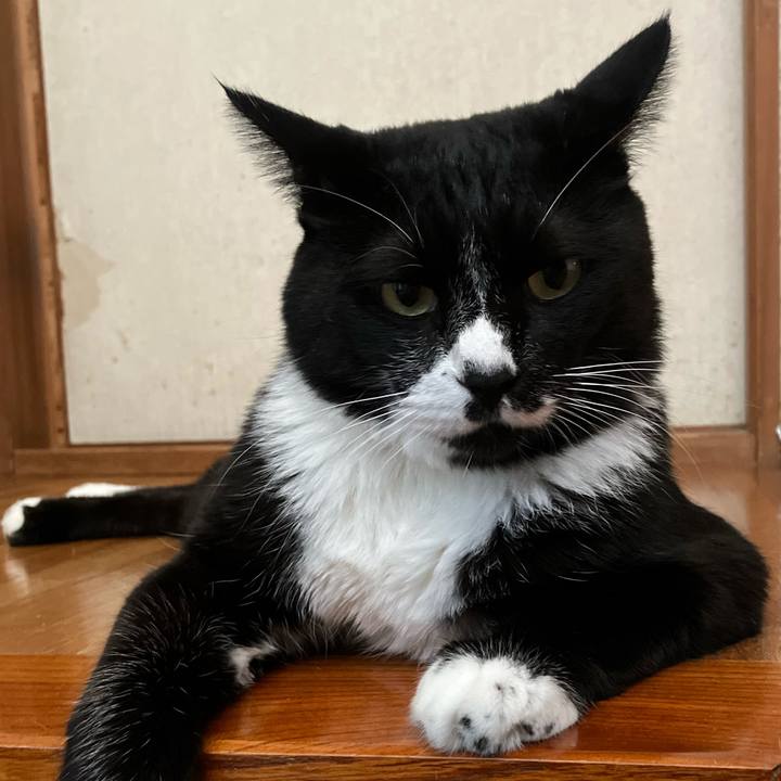 651fb338 afc5 4fc9 b32a 8ed5693db1fc 1760672264804