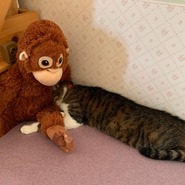 651fc7aa 38a8 4624 b94a 2a742f332310 1651757373257