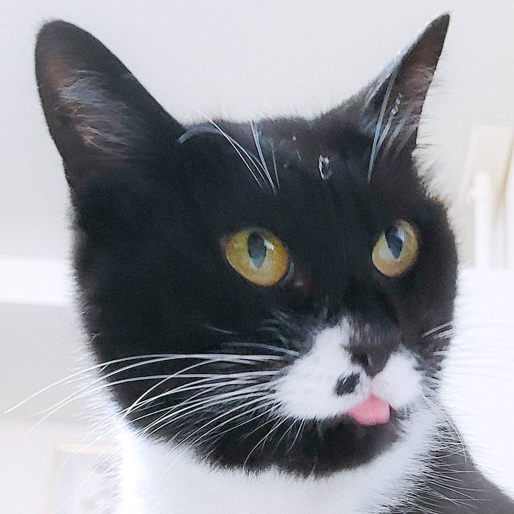 651fea0a 0413 4e91 a991 e335699654cd 1657708322273