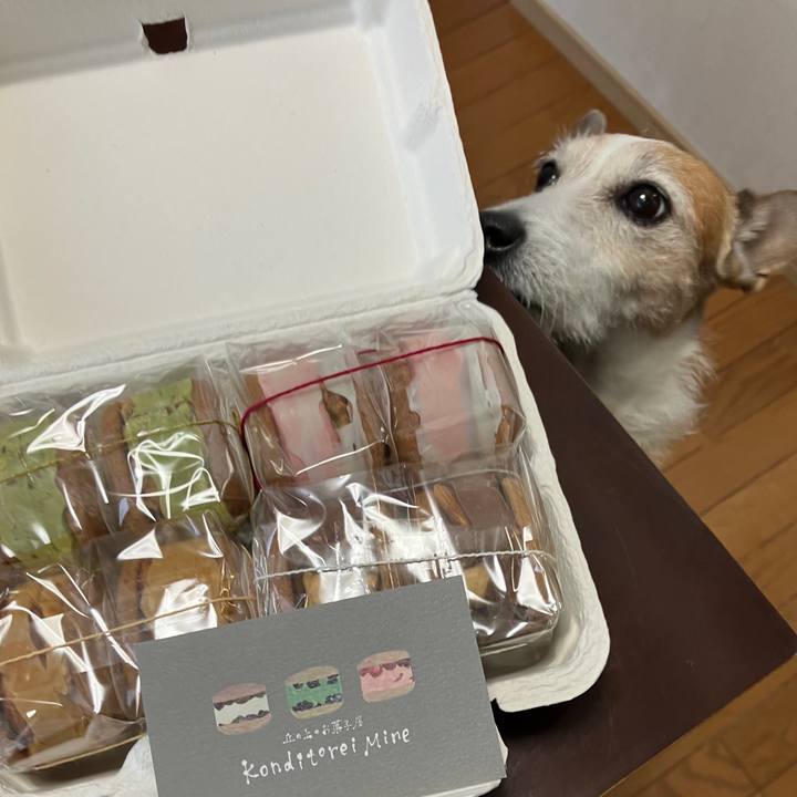 651fff6c 8f8a 417f 9c9a d57f195b8818 1709508070371