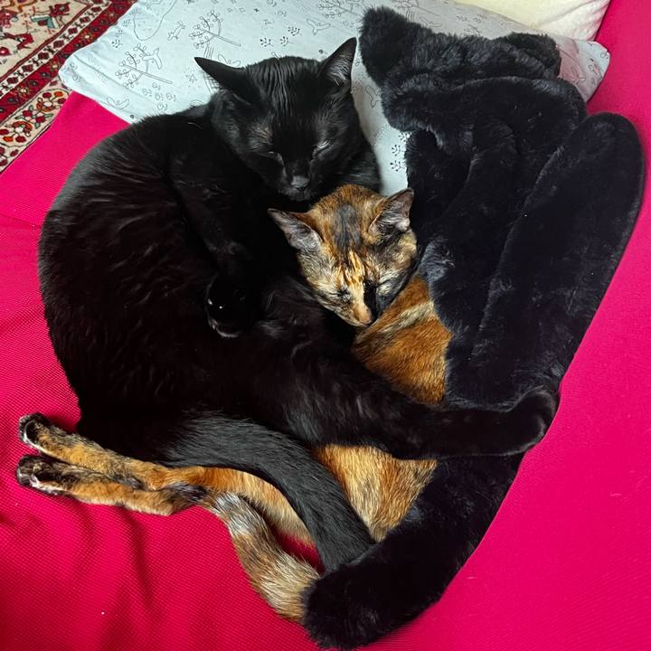 65200bbf 1604 489f 97e2 4c08f8436647 1732237648853