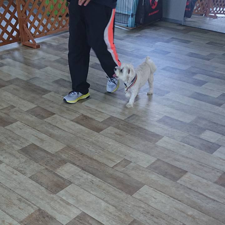 65200c81 9950 4a5d a984 c0a2f3cea7e8 1626502958626