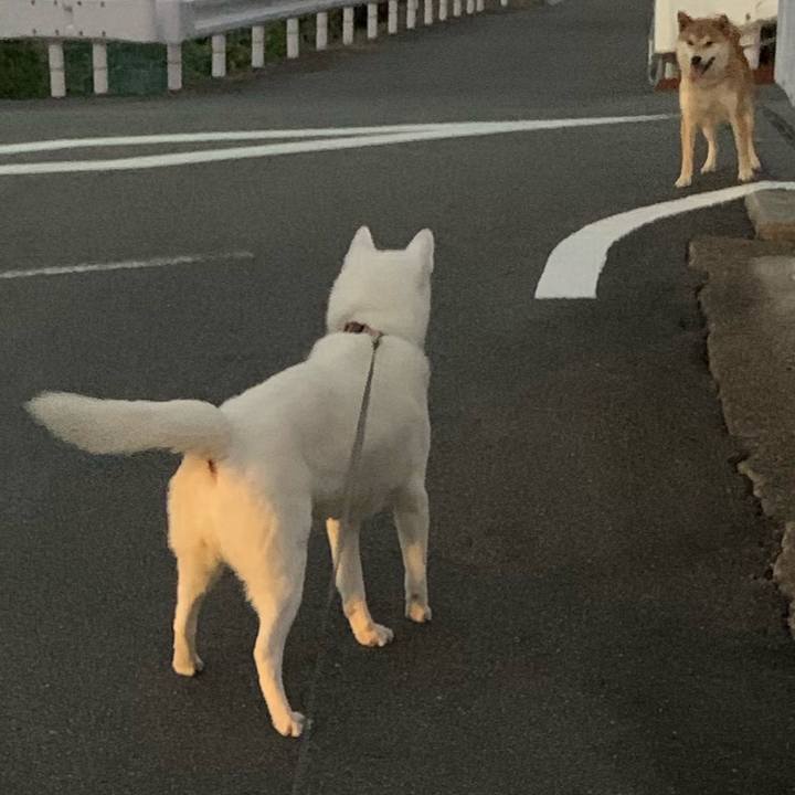 65203a57 584f 4fc6 8e38 74a8b49afab6 1566041333311