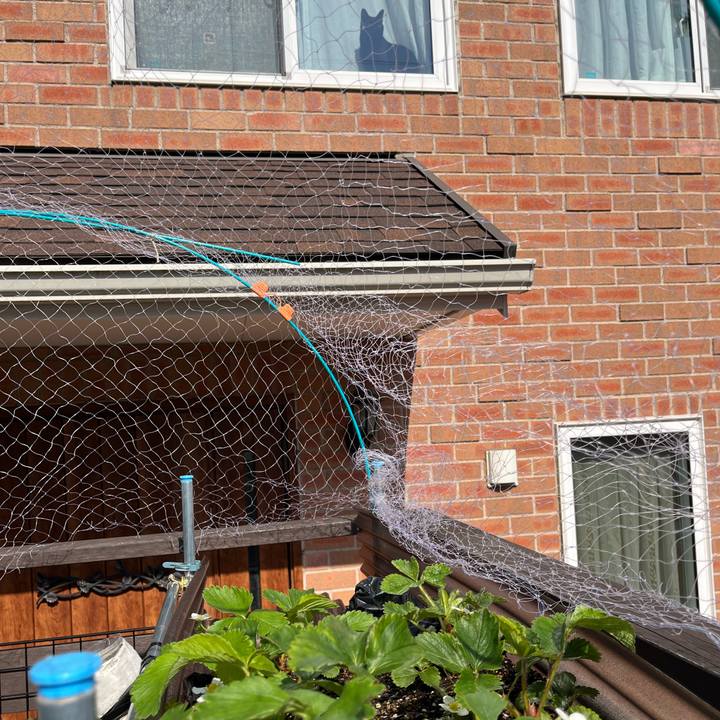 65204a61 b426 47d3 8ade 528bdc45532c 1712837119687