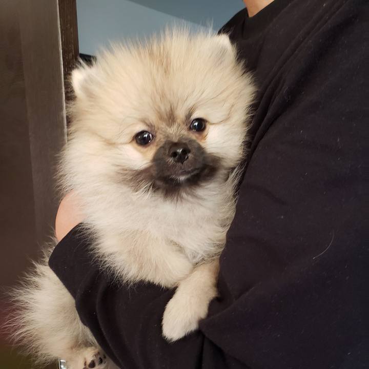 65205870 81f0 4e8d b95a c86694755f22 1611028393103