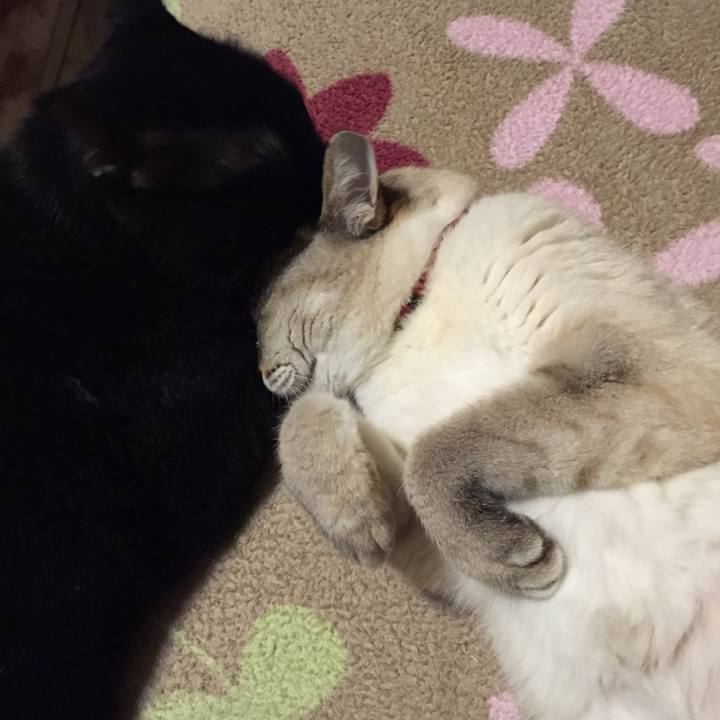 65206ed6 8d28 4510 9c81 25c4f2cd1924 1525868802731