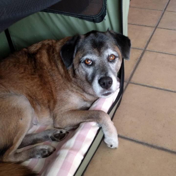 6520c88b c4c4 411e 915e 5dc6a0a58069 1512807926169