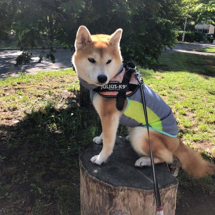 6520d694 8fba 456c b243 65957b6e0a6d 1558491210394