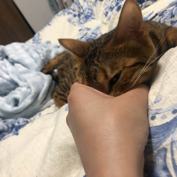 6520e341 b592 43ec be3b d86a6b791107 1566487217486