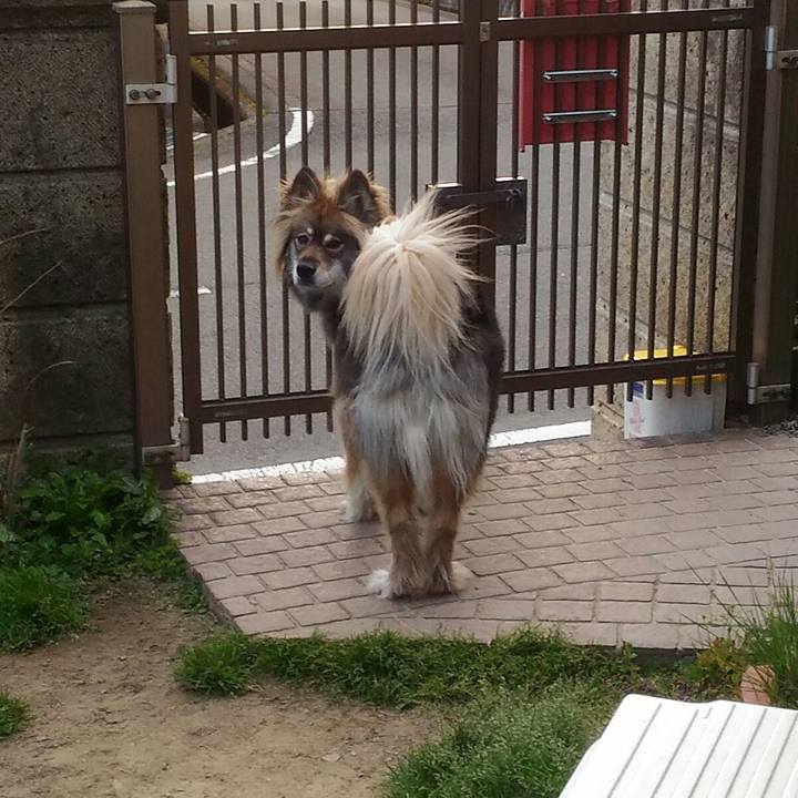 6520ea78 bea5 492c 8779 0e6da6489cc4 1554886206091