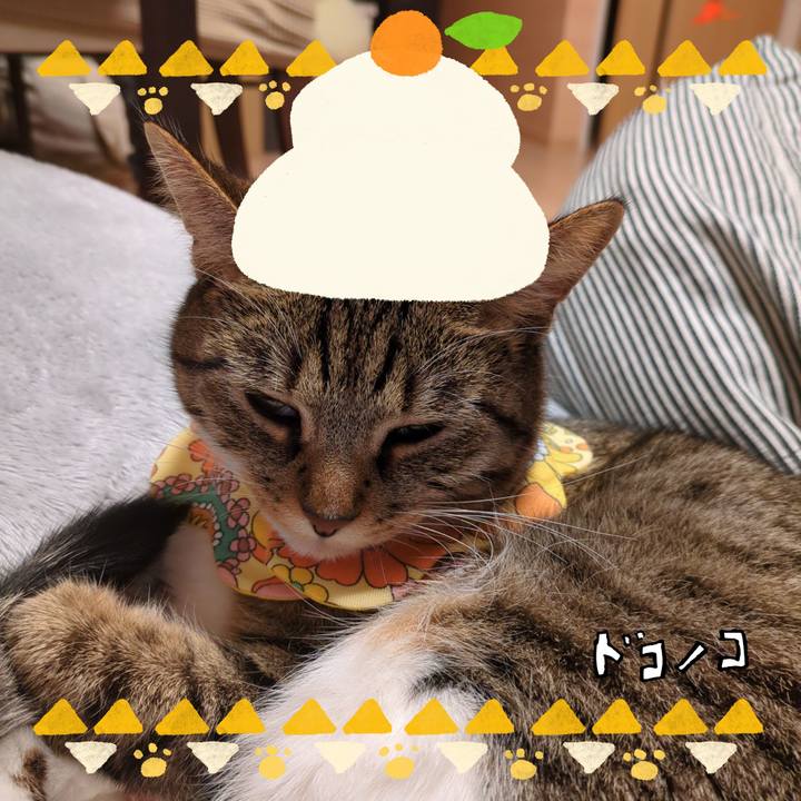 6520ed95 4d0c 4a75 aa9a 25b3314b5113 1704109004483