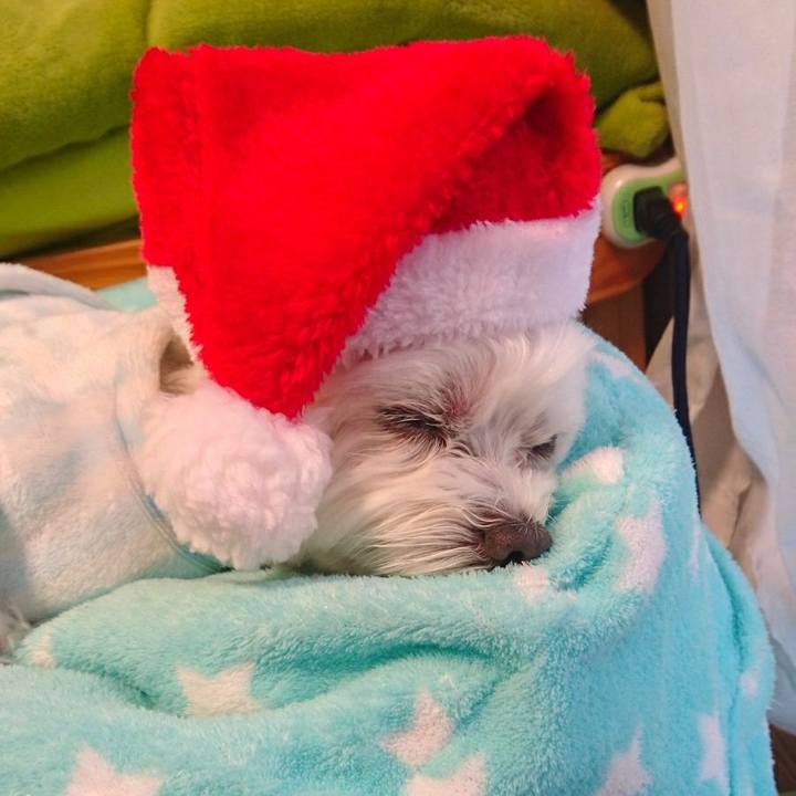 65210ffd 6fe8 424b b153 ca19dad1310c 1514156688056