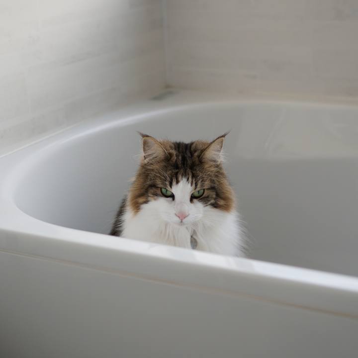 65211e18 e6ed 484c b75b f4f2a4b6eb51 1580804405947