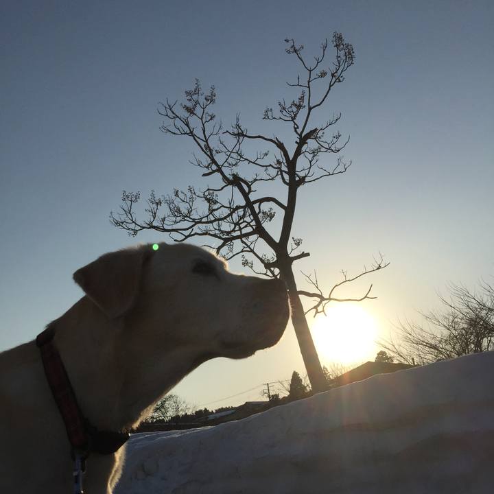 652143d4 43b3 4107 906d afa9582a5d7c 1559948529534