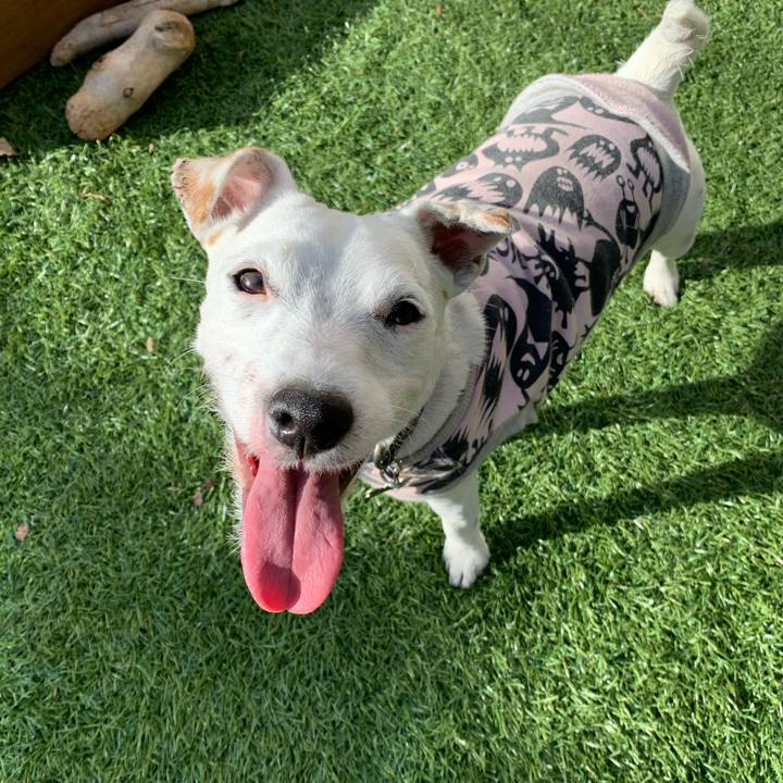 65215ecd fb2d 4815 af09 90d14e1480df 1580320927142