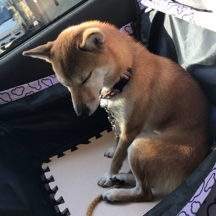 652190d3 ae2d 4f26 9a5e 4613c83e7196 1541946488865