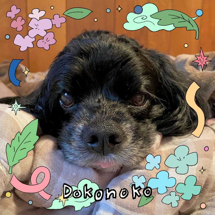 6521c421 4ae1 45f7 a6c0 b364b0200099 1717580603842