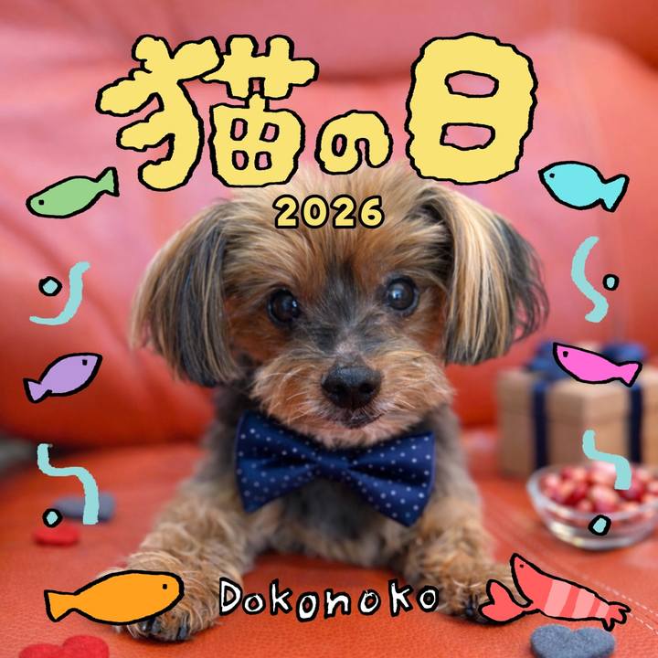 6521fcff 22e6 4dc5 8d91 733b5868bfcf 1771748821001