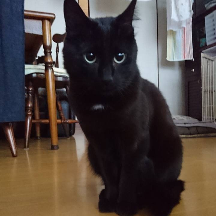 65220005 bc51 4697 a772 c55148bc1a3a 1546472071779